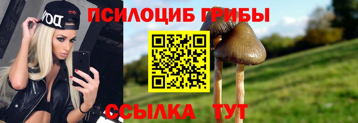 Галлюциногенные грибы Cubensis  Вход с VPN  Всеволожск 